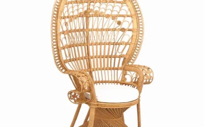 Duo fauteuils Emmanuelle